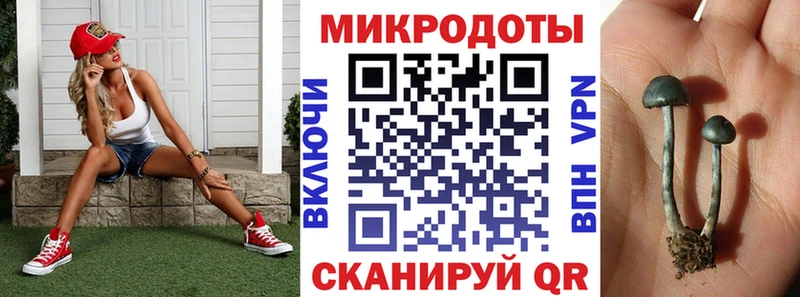 Галлюциногенные грибы Psilocybine cubensis  Купить закладки  Суворов 